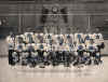 1932 Toront Maple Leafs team photo